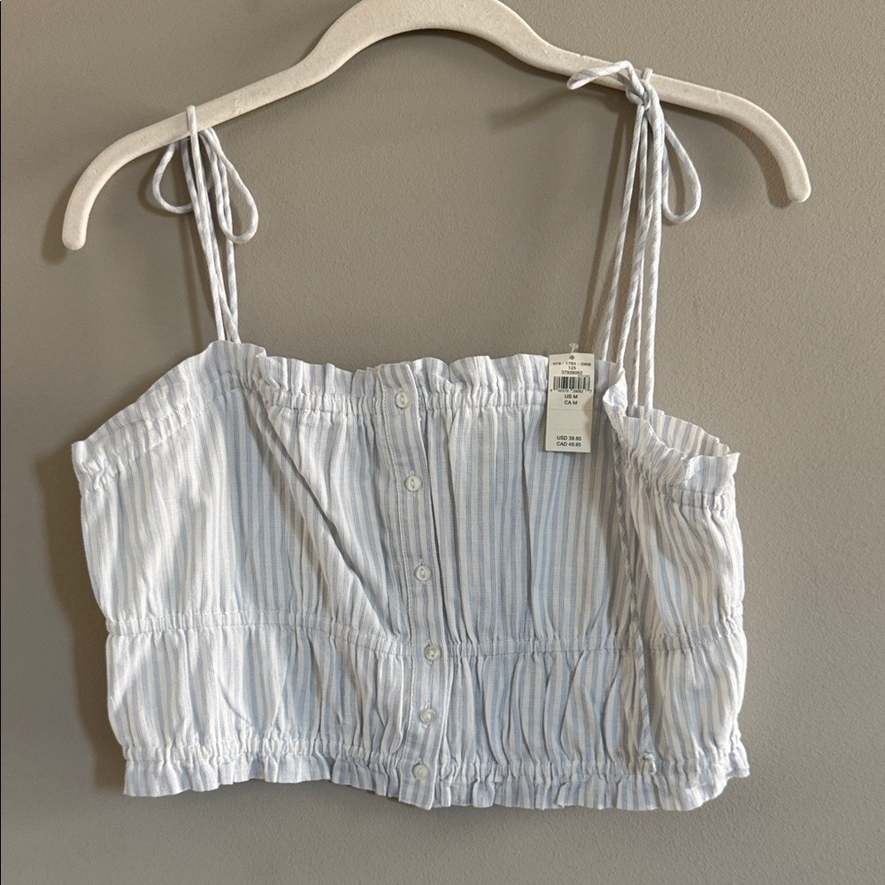 Aerie Blue and White Striped Crop Top